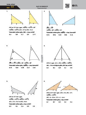 Üçgende Eşlik Test 33