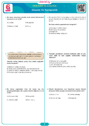 Olasılık Ve Rastgelelik