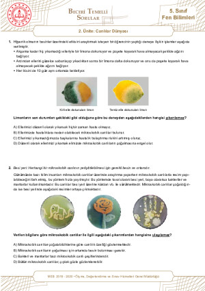 Canlılar Dünyası Meb Beceri Temelli Sorular