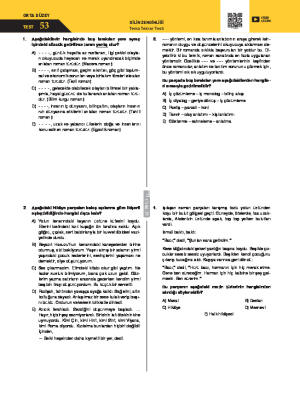 Test-53 Dilin Zenginliği Tema Tekrar Testi