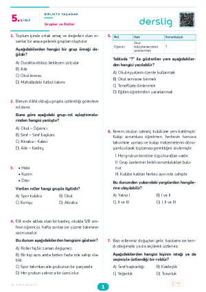 Gruplar ve Roller Yaprak Testi (Maarif Model)