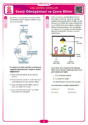 Enerji Dönüşümleri ve Çevre Bilimi LGS Çıkmış Sorular