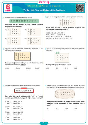 Verileri Kök Yaprak Gösterimi ile Özetleme