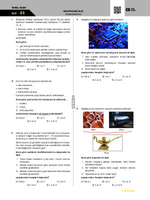 Test-44 Sürdürülebilirlik