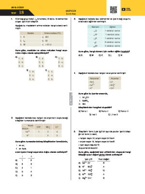 Test-18 İyonik Bağ
