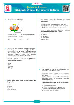Bitkilerde Üreme, Büyüme ve Gelişme
