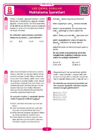 Noktalama İşaretleri LGS Çıkmış Sorular