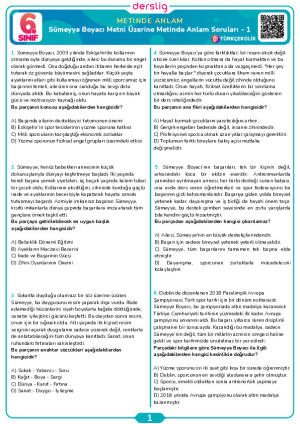 Sümeyye Boyacı Metni Üzerine Metinde Anlam Soruları - 1