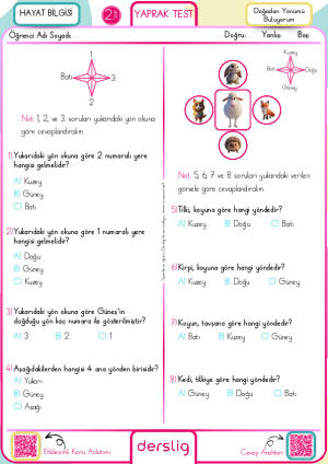 Doğadan Yönümü Buluyorum