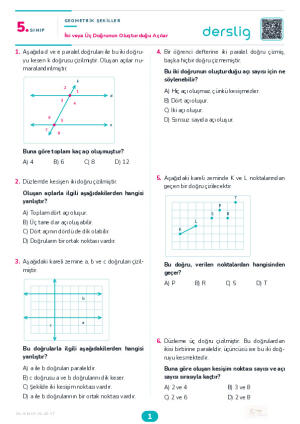 İki veya Üç Doğrunun Oluşturduğu Açılar Yaprak Testi (Maarif Model)