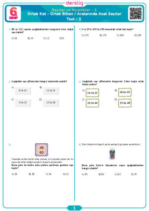 Ortak Kat - Ortak Bölen / Aralarında Asal Sayılar Test- 2
