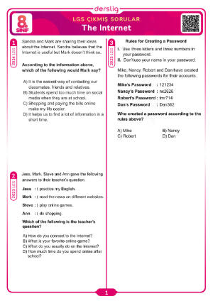 The Internet LGS Çıkmış Sorular