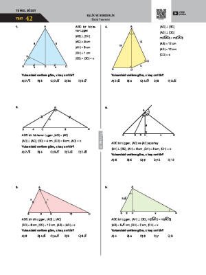 Öklid Teoremi Test 42