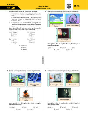 Test-40Hareket ve Hareket Türleri
