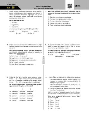 Test-28 Eski Çağ’da İnanç - Bilim ve Sanat
