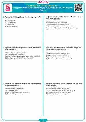 Kategorik veya Nicel Veriye Dayalı Araştırma Sorusu Oluşturma Test- 1