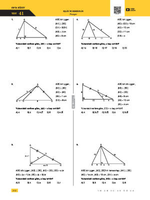 Pisagor Teoremi Test 41
