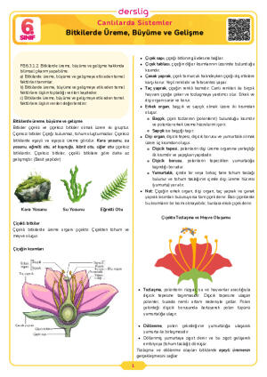 Bitkilerde Üreme, Büyüme ve Gelişme