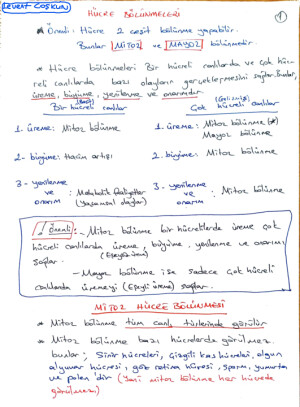 HÜCRE BÖLÜNMELERİ DERS NOTU