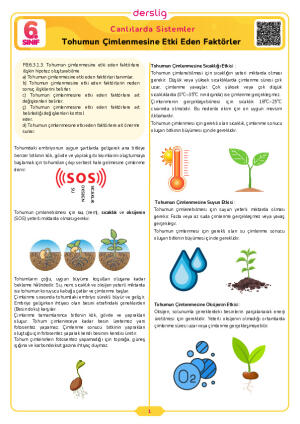 Tohumun Çimlenmesine Etki Eden Faktörler
