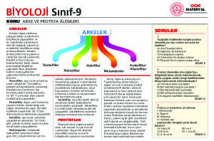 ARKE VE PROTİSTA ALEMLERİ