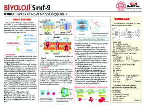 HÜCRE ZARINDAN MADDE GEÇİŞİ
