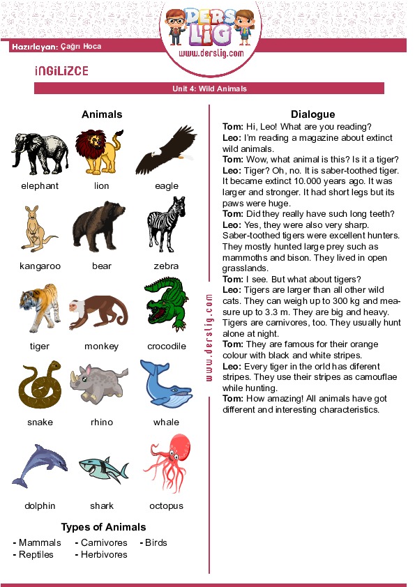 Draw animals перевод. Wild animals Test 2 class.
