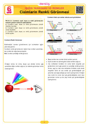 Cisimlerin Renkli Görünmesi
