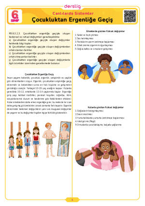 Çocukluktan Ergenliğe Geçiş