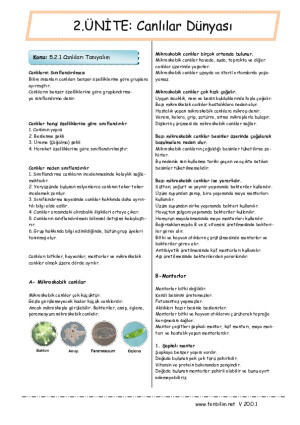 CANLILAR DÜNYASI