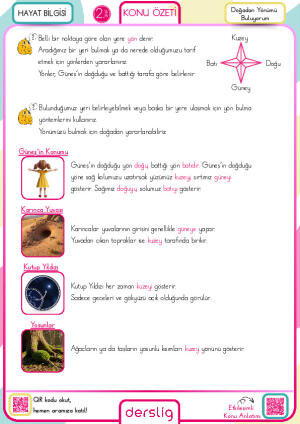 Doğadan Yönümü Buluyorum