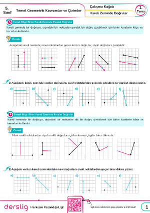 8. Kareli Zeminde Doğrular
