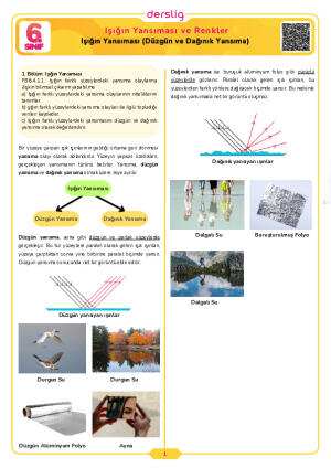 Işığın Yansıması (Düzgün ve Dağınık Yansıma)