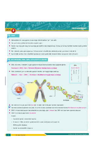 Artı Zeka Konu Anlatım Föyleri-3 (DNA ve Genetik Kod-1)