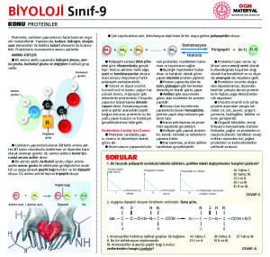 PROTEİNLER