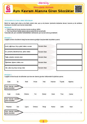 Aynı Kavram Alanına Giren Sözcükler