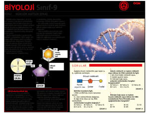 NÜKLEİK ASİTLER(DNA)