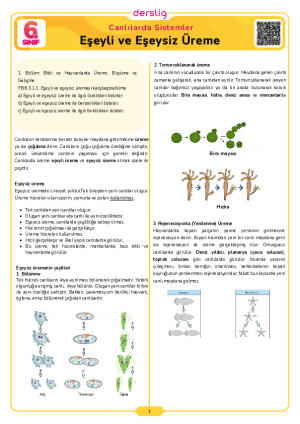 Eşeyli ve Eşeysiz Üreme