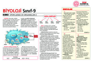 SİTOPLAZMA VE ORGANELLER 2