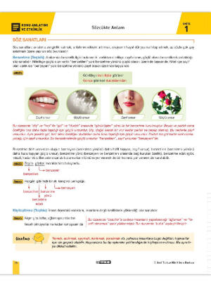 7.Sınıf 2.Dönem 1.Yazılı Türkçe Çalışma Föyü