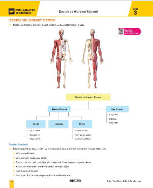 5.Sınıf 2.Dönem 1.Yazılı Fen Bilimleri Çalışma Föyü