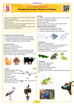 6.Sınıf 3.Tema 4.Konu (Hayvanlarda Üreme, Büyüme ve Gelişme) Çalışma Kağıdı Cevap Anahtarı