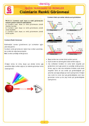 6.Sınıf 4.Tema 6.Konu (Cisimlerin Renkli Görünmesi) Çalışma Kağıdı Cevap Anahtarı