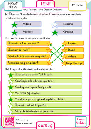 1. sınıf 19. hafta Cevap anahtarı