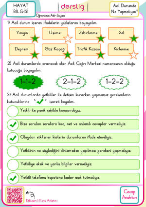 2. Sınıf Acil Durumda Ne Yapmalıyım Cevap Anahtarı