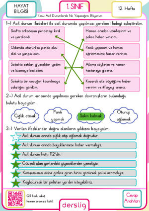 1. sınıf 12. hafta cevap anahtarı