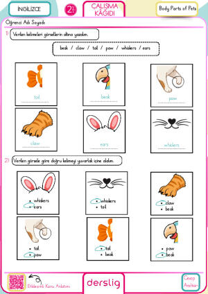 2. sınıf Body Parts of Pets Çalışma Kağıdı cevap anahtarı