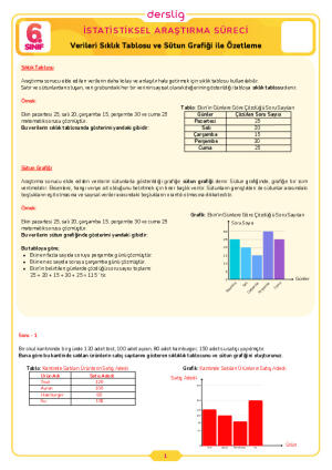 6.Sınıf 2.Tema 2.Konu (Verileri Sıklık Tablosu ve Sütun Grafiği ile Ö) Çalışma Kağıdı Cevap Anahtarı
