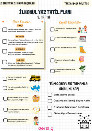 Yaz Tatil Planı 9. Hafta 2. Sınıf