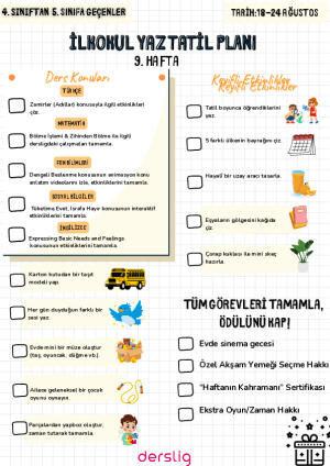 Yaz Tatil Planı 9. Hafta 4. Sınıf